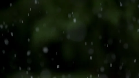SNOW FALLING IN SLOW MOTION AGAINST AN OUT OF FOCUS TREE Stock Footage 126545627