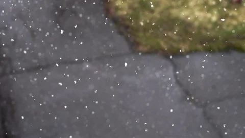 Snow falling in slow motion, flakes swirling Stock-Footage 74759124