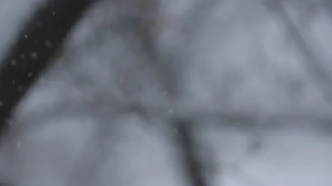 Snow falling in slow motion, flakes swirling and drifting against a backdrop of Stock Footage 100887946