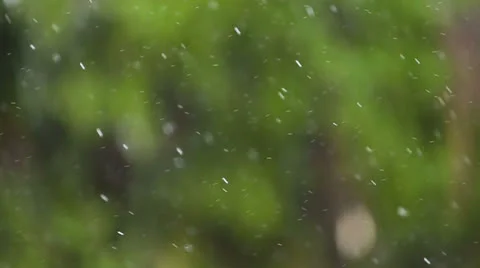 Snow falling in slow motion Video stock 23312107