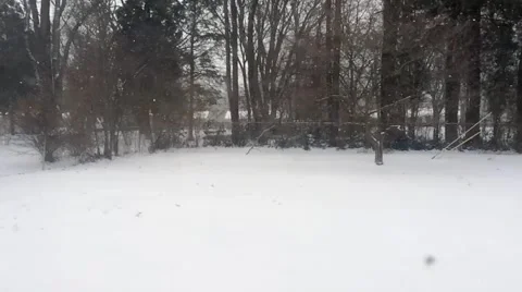 Snow Falling in Slow Motion Vidéo 49174913