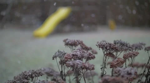 Snow Falling in Slow Motion Stock Footage 61928688
