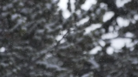 Snow Falling In Slow Motion 스톡 동영상 105185128
