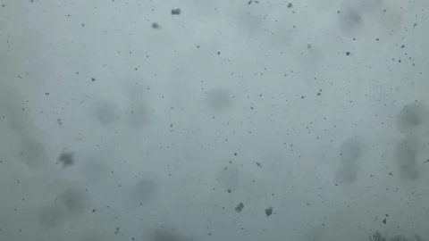 Snow falling slow motion Stock Footage 114127261