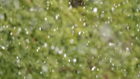 Snow Falling in Slow Motion 스톡 동영상 234248026