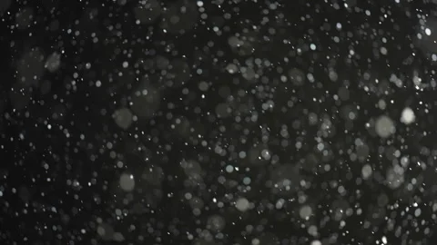 Snow falling in slow motion Stock Footage 322045741