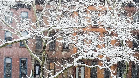 Snow falling in slow motion in front of brownstones in Brooklyn, New York Stock Footage 83367175
