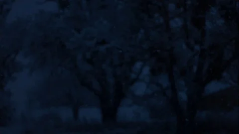 Snow Falling in Slow Motion at Night Stock Footage 73341005