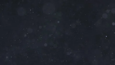 Snow Falling Slow Motion Night Bokeh Stock Footage 252830461
