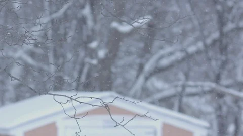 Snow falling in slow motion with snow covered branches in the foreground. Stock Footage 86570446