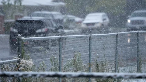 Snow falling in slow motion with traffic driving on street Stock Footage 220470199