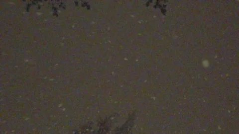 Snow falling slowly 120fps Stock Footage 168146272