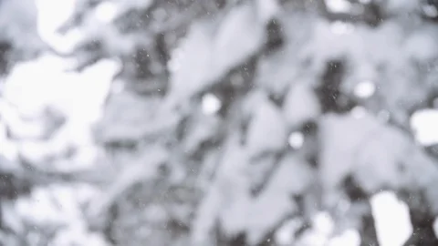 Snow falling slowly with blurry trees in background Video stock 120050532