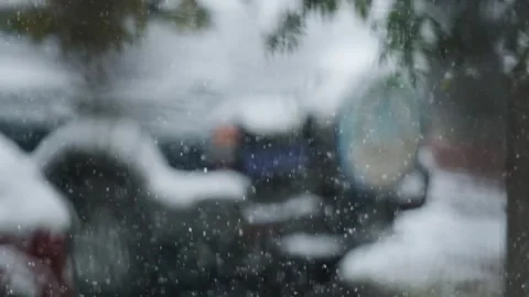 The snow is falling slowly Stock Footage 259619673