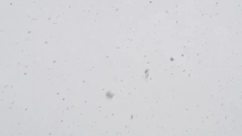 Snow falling slowly from the sky 動画素材 313333963