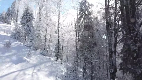 Snow Falling on Snow-Covered Branches Winter Forest Atmosphere Calm Nature Scene 스톡 동영상 330278840