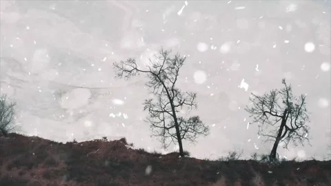Snow Falling on Snow-Covered Branches Winter Forest Atmosphere Calm Nature Scene Video stock 330279069