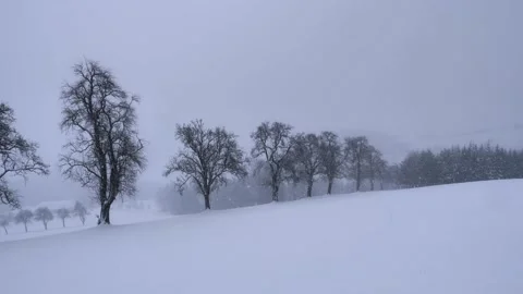 Snow Falling on a Snow Covered Landscape in Mostviertel in Lower Austria Stock Footage 146265690