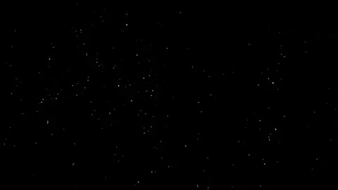 Snow Falling. Snow Particles. Snow Animation. Snow Background. Snowflake Stock Footage 263577104