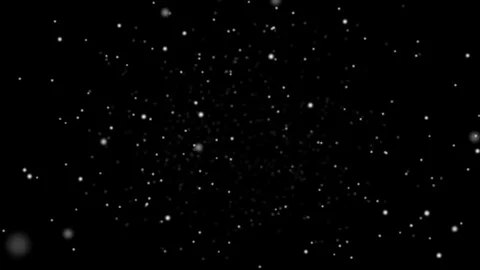 Snow - Falling Snow - Winter - Alpha Stock Footage 119581147