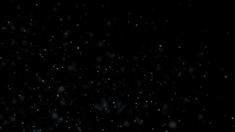 Snow falling, snowflakes carried by wind, isolated on black background Stock Footage 100744292