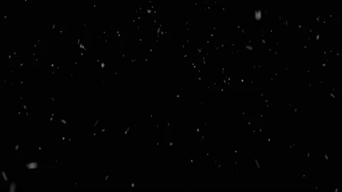 Snow falling snowflakes isolated on black background realistic snowstorm Stock Footage 231400735