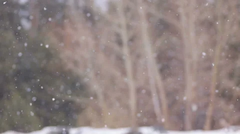 Snow. Falling snowflakes with selective focus. Winter design concept. Stock Footage 61362140