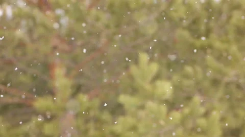 Snow falling. Snowflakes with selective focus. Winter design concept. Stock Footage 61362167