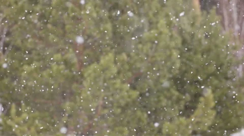 Snow. Falling snowflakes with selective focus. Slow motion. Stock Footage 61362182