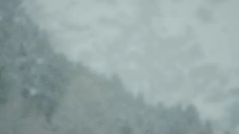 Snow falling on snowy trees Vidéo 270229477