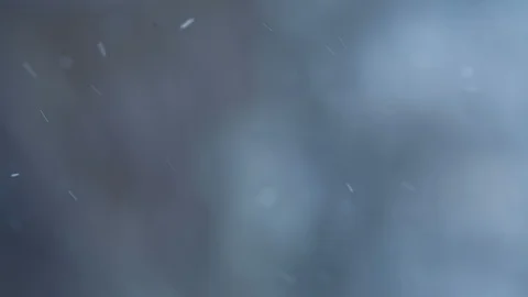 Snow falling in snowy woods Stock Footage 87770332