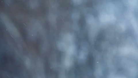 Snow falling in snowy woods Stock Footage 87770333