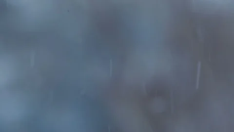 Snow falling in snowy woods Stock Footage 87770406