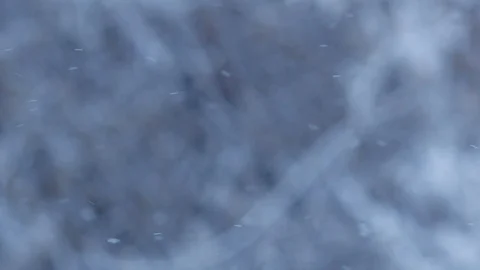 Snow falling in snowy woods Stock Footage 87812220