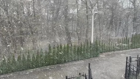 Snow falling in spring courtyard Stock Footage 320949350