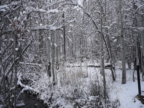 Snow falling by the stream Stock Footage 85029780