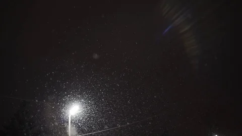 Snow falling with streetlight beams at night. Loop able snow fall background Video stock 84110349