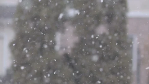 Snow falling on a sunny day with trees in the background in slow motion. Stock Footage 88684471