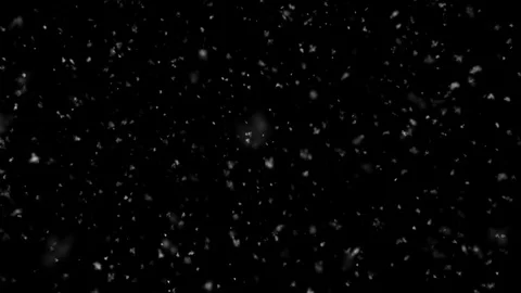 Snow Falling - Thick and Slow - Medium Shot - Loop Stock Footage 120873911