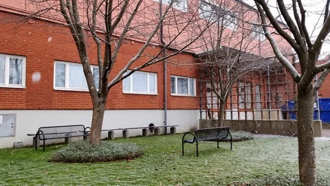 Snow Falling in Tiny Park with Benches and Trees Stock Footage 99534552