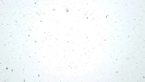 Snow falling from top Stock Footage 280638682