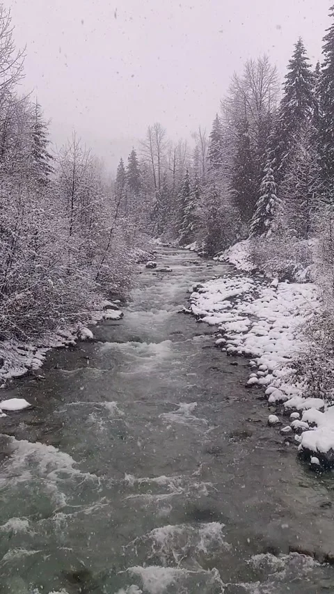 Snow Falling Onto a Tree-Lined River Stock Footage 168905790