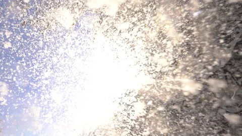 Snow Falling from Tree Sparkling in Sunlight Video stock 315886103