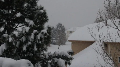 Snow falling on trees and house Stock Footage 78451121