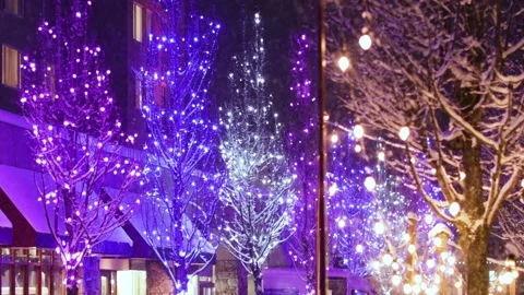 Snow Falling On Trees Decorated With Colourful Christmas Lights Video stock 166819387