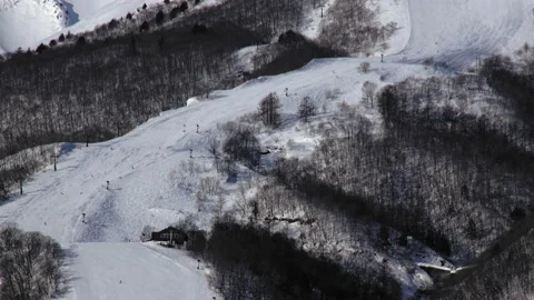 Snow falling at the trees in slow motion is beautiful winter season views Stock-Footage 148379149