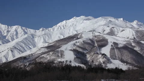 Snow falling at the trees in slow motion is beautiful winter season views Stock Footage 148381314
