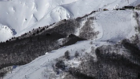 Snow falling at the trees in slow motion is beautiful winter season views Stock Footage 148381335
