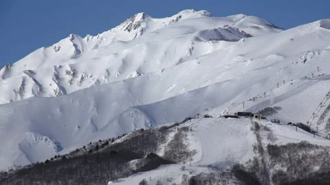 Snow falling at the trees in slow motion is beautiful winter season views Stock Footage 148381353