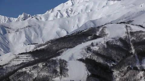 Snow falling at the trees in slow motion is beautiful winter season views Video stock 148384177